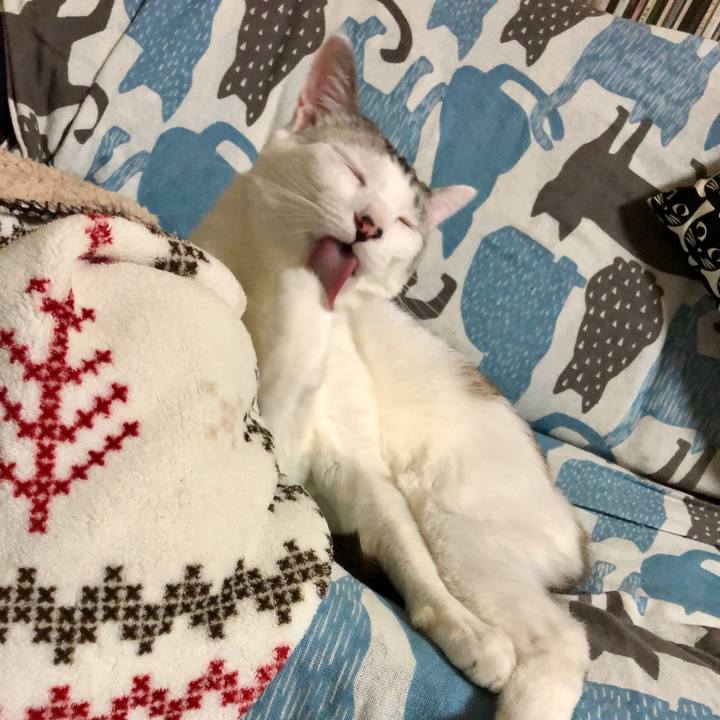 149049a4 9963 454b bd5c e5a9007cd18b 1594649289737