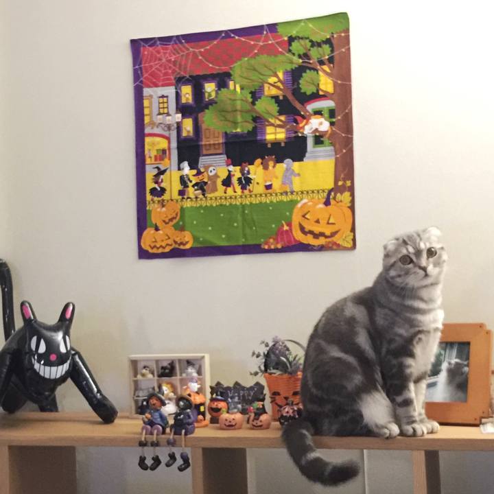 14904d78 bb60 490d a137 682f427abc38 1604066131287