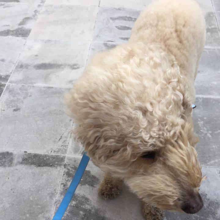 14905542 2efc 4d15 bd8c b526441ac6ea 1537621438535