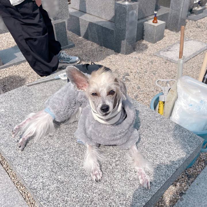 14906240 6f87 4113 897c 463f0e90035b 1774001970278