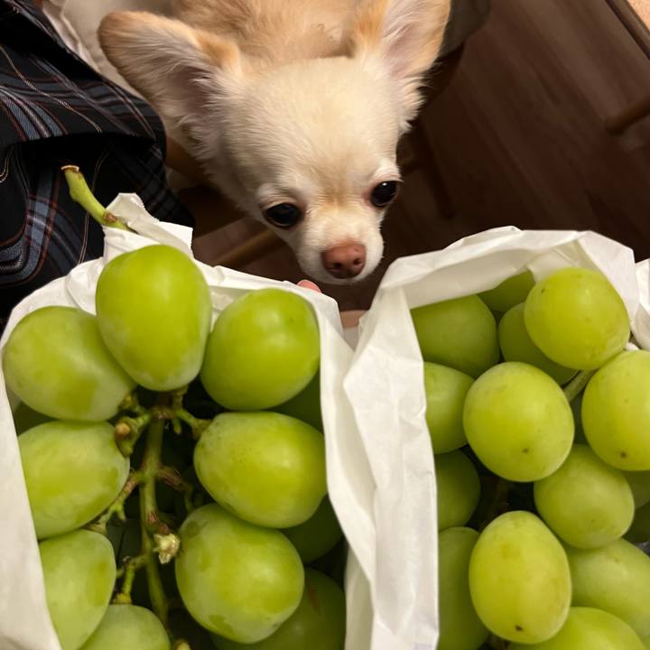 1490b6a5 e00b 4377 b921 dcdf6028e44c 1726313359133