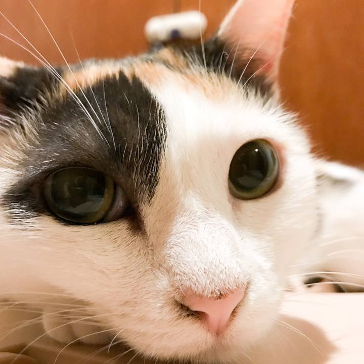 1490c352 dd63 4cac ba68 0d6e79db8f10 1530367283092