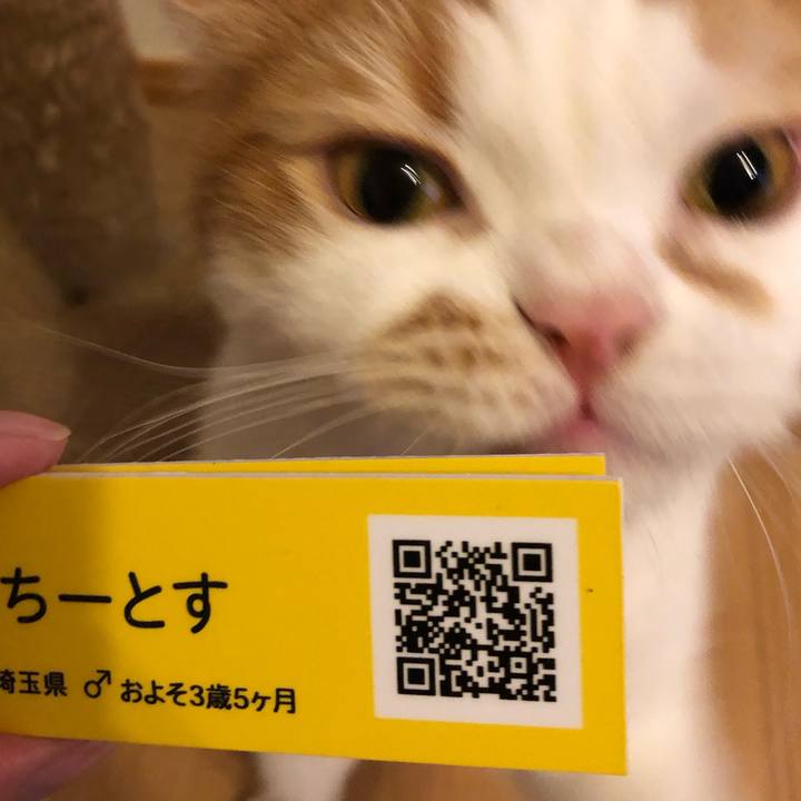 14911f91 2574 4a38 99fe ceee16542886 1560599999963