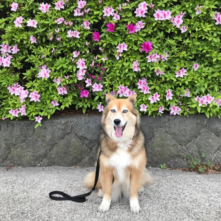 14912d4e 840d 417b b169 93b3d57c1bcb 1555748038992