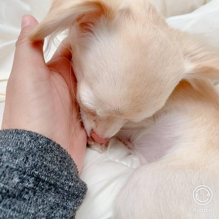 14914005 9f3f 484d 88c8 a706426e4fa8 1604540494079