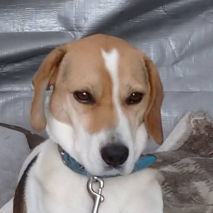 1491b3d4 a6f5 44b1 b846 d84620374b0d 1610893316076