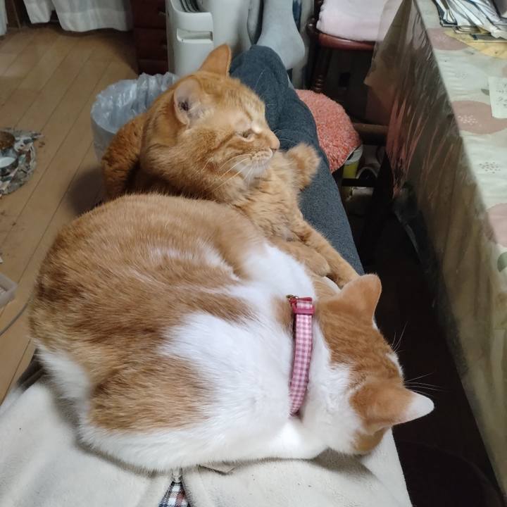 1491b549 5f54 4244 ac29 d30f6620223a 1742196682402