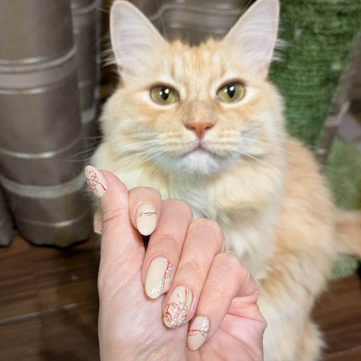 1491c490 3eeb 48e1 8b38 16e305f10e3d 1735307247958