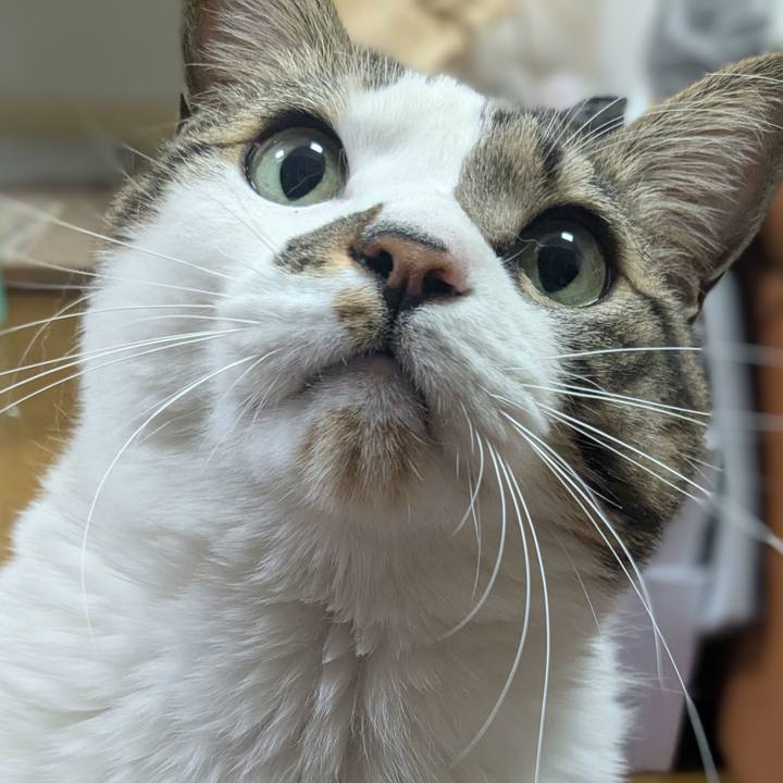 1491c8d1 c687 4d94 b4ad a82143323c49 1768961809692