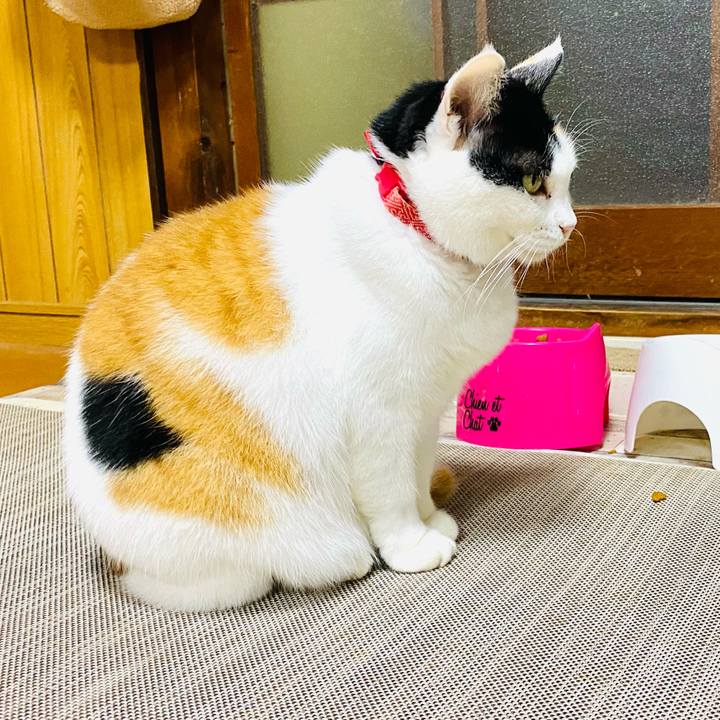 149217ff 3ec7 4edf a44d ed271924dcd1 1762258335938