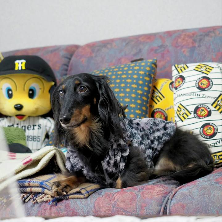 14922caf 05b0 44ac b425 a2dbca2a6dde 1552271536194