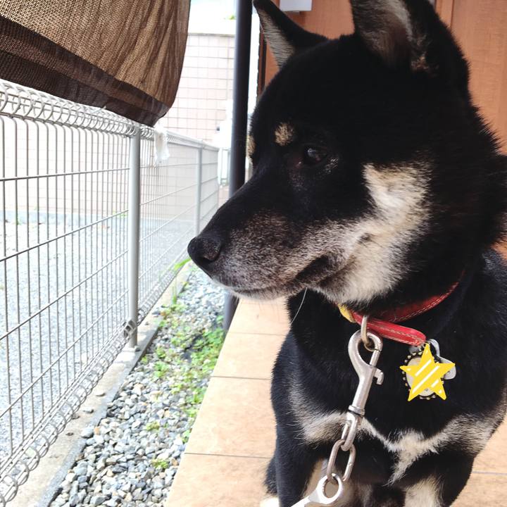 149241b2 3663 4d7f 8877 2816e6d6f9db 1528943739905