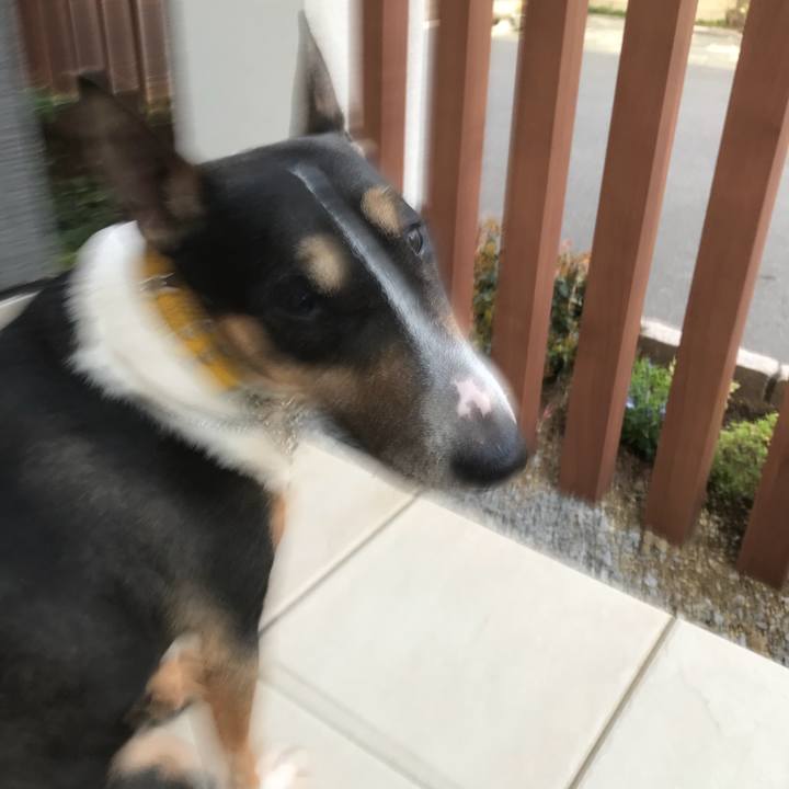 149241eb 6439 44e5 8b13 e622ed1557ac 1524214920097