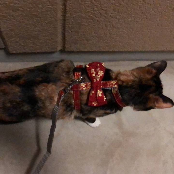 1492700e 04c0 4cb6 aeb9 a090ecb5943f 1586463473358