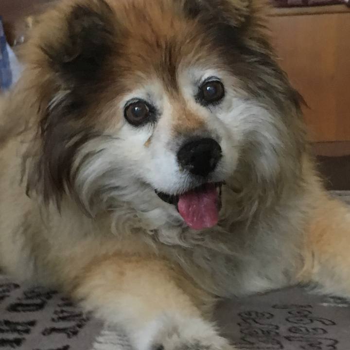 14927e6b afb5 40c2 ac96 1d54936dd602 1559084774589