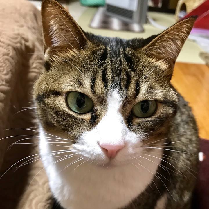 14928465 570a 4cdc 9e84 6d300faa09c6 1544872320004