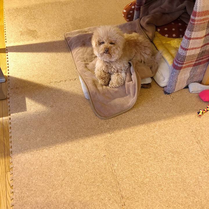 1492974f 7dae 4a41 beab 1236a5096270 1522449679673