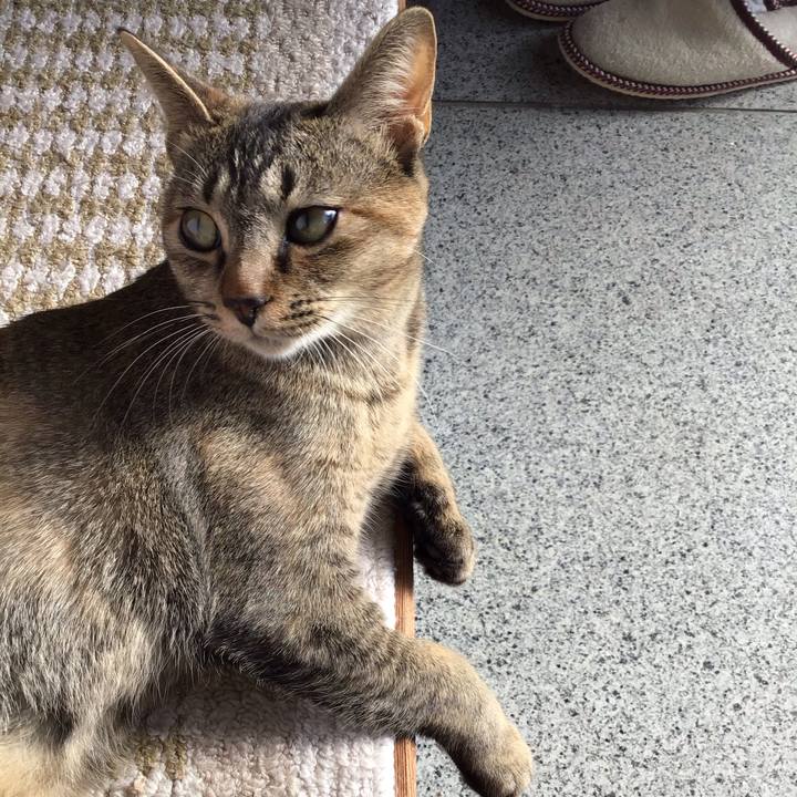 1492beba 0ddd 4c07 bb78 f6a3b81b016f 1578272541503