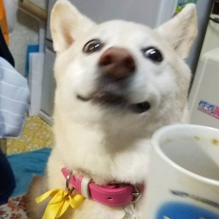 149324d5 beef 4a81 b879 7b99ec7c01b4 1569845231420