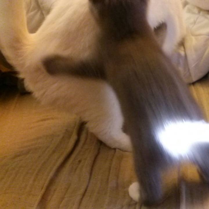 14932a7d 705d 4a1b 8860 f75955c357f0 1531464947696