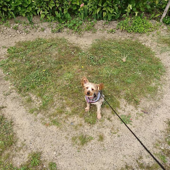 14935102 2080 43b3 aa9e e0fdd7ca41dd 1528158878785