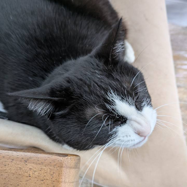 149383a3 8fd5 4b54 88fe 47aa1a1e7630 1773906354893