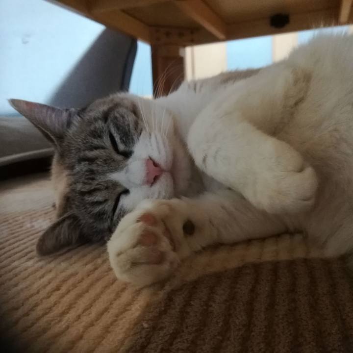 149383d6 6c20 4feb b76c a46826644d11 1557063144412