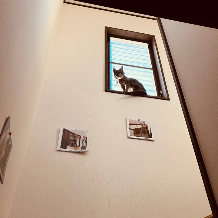 1493c060 aa68 4e53 8626 40ec424ebe24 1767318193001