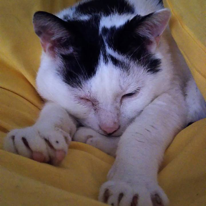 1493fb38 c6d3 4b74 b79f ef45637c4422 1534665335238