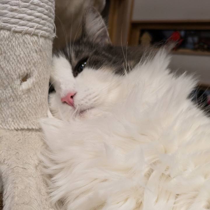 14944f15 7ebf 4a7a b131 86dbdeda007e 1762515901300