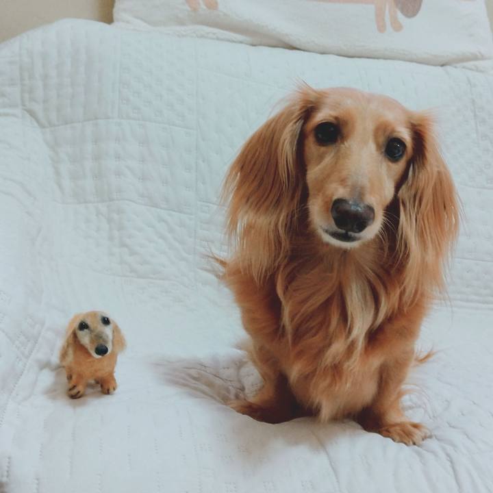 14949f12 9175 4a88 b306 c9de6187fa00 1661331774963