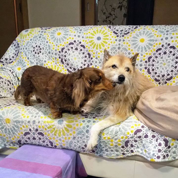 1494a84c 00e2 435b ad96 1674b8d8ddb8 1556877752268