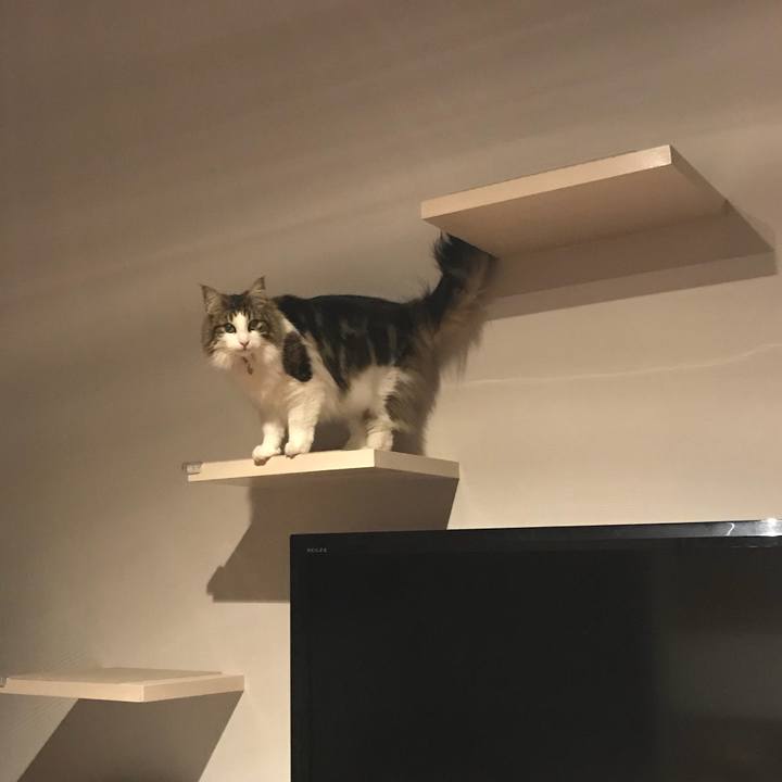 1494b27b 784b 410c aa12 f00e7af7d8ad 1523629334010