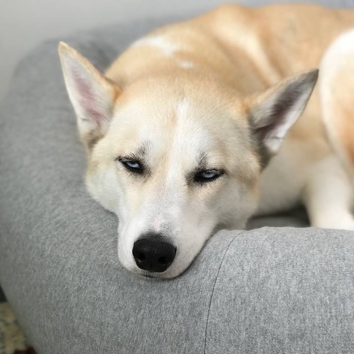 1494bdf4 4785 418d 9beb c7f438917e7d 1511312659204