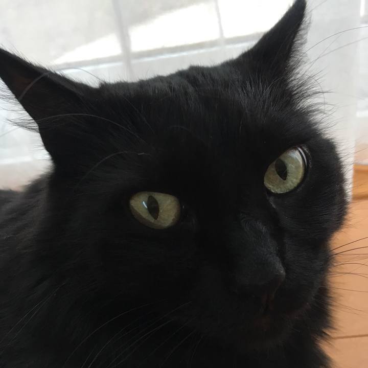 1494d867 829a 4712 8e64 20fe3a18f387 1525566466731