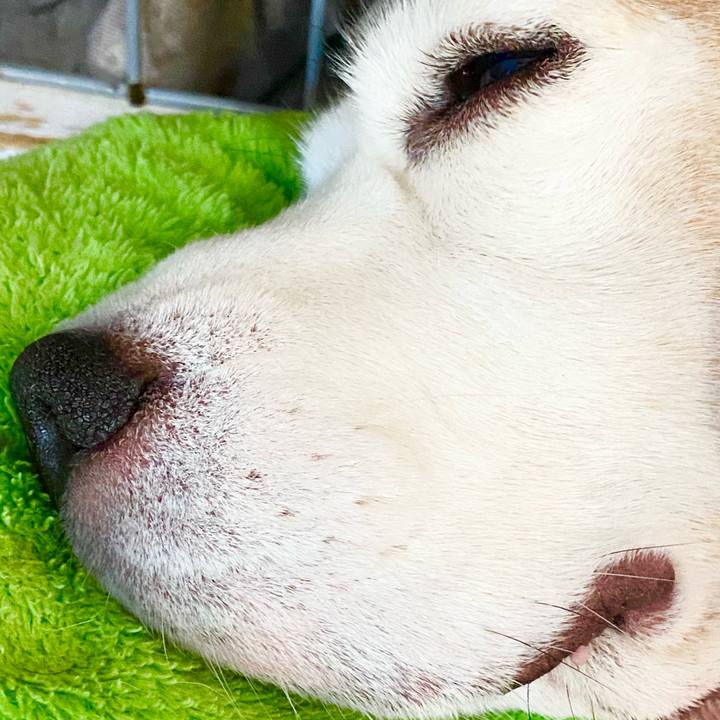 1494e0dd fa19 451a a724 a4280256c769 1603259886550