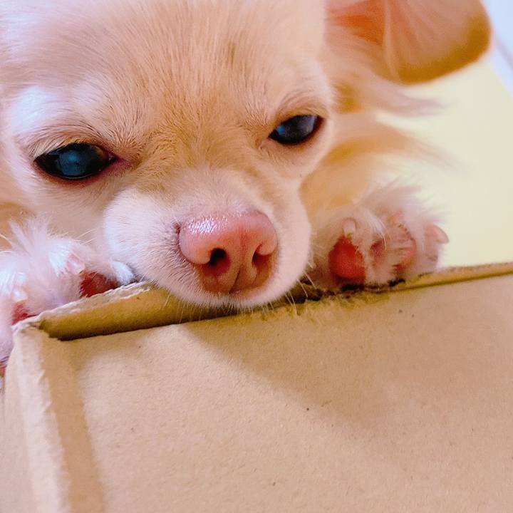 1494e564 1c5a 43a7 b318 4dfa14fc27a5 1622108316619