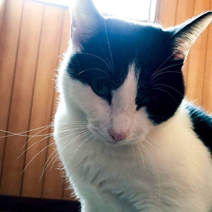 14955420 0a0e 42bb a59c 8a2b469cc996 1511186620310