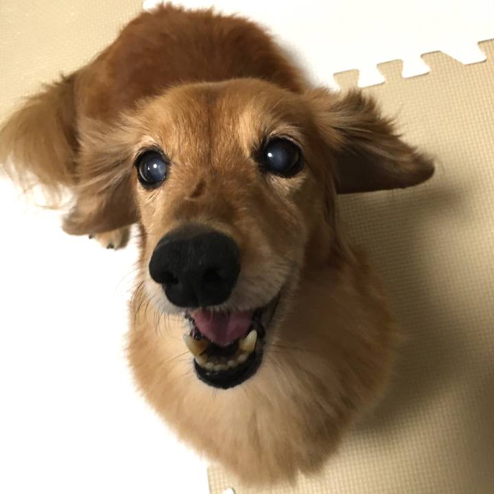 14957616 256a 4321 acd8 46f088b139d9 1624104456241