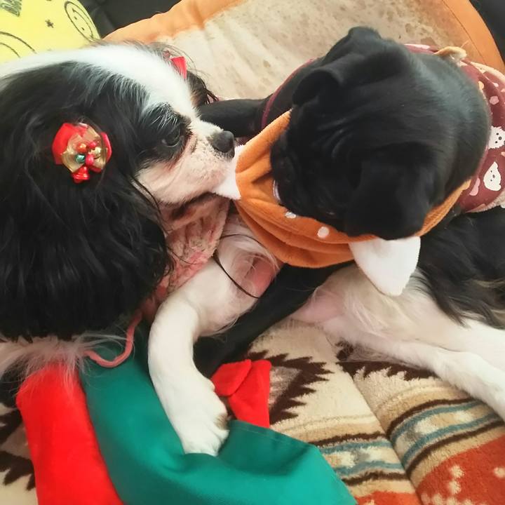 1495a9c5 4e42 4b19 a385 fac01ab72375 1515325831938