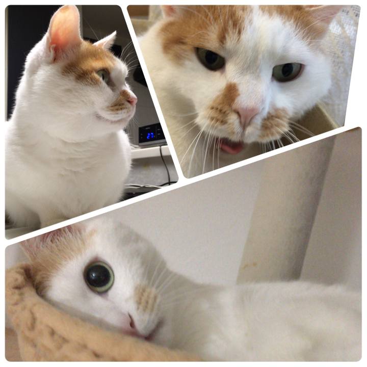 1495efdf 7be2 4220 ae1c 939fff658190 1514709471252