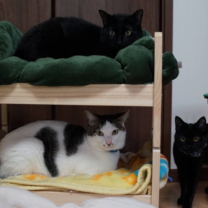 14961905 b8b6 4e36 bc7f 074cb2072738 1518045927086