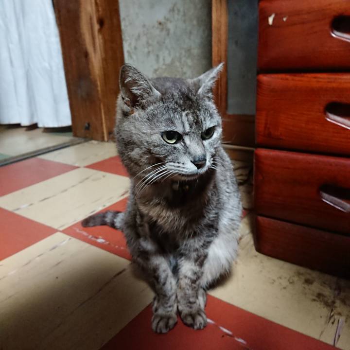 14964cf6 3fb9 4c46 9237 5657dee31053 1590091730902