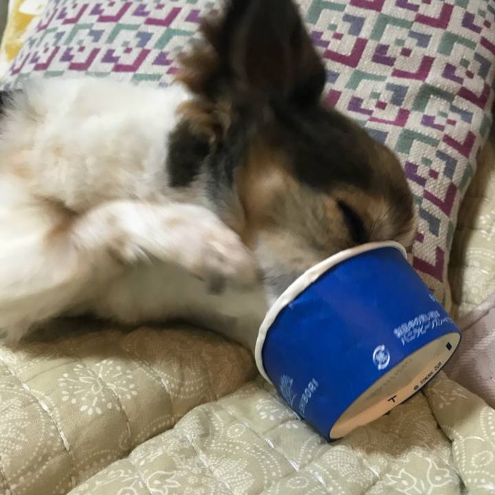 1496a66d 7c5e 4c71 ae2f dee05aebadff 1533298097117