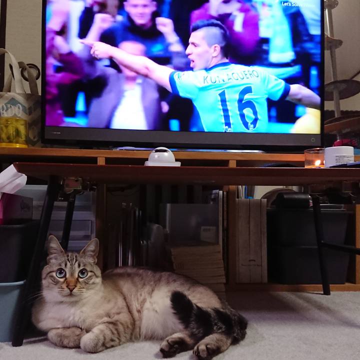 1496a961 1b3a 482b abfe 08564bb547ea 1588350405033