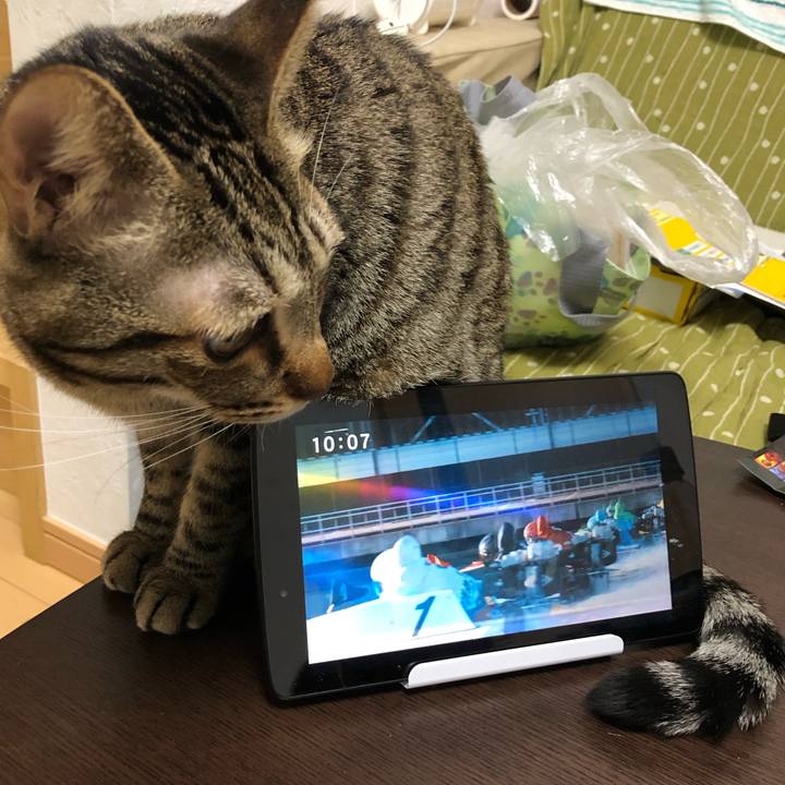 1496c5a4 55c0 4026 8d8a 10ccbfeb65fc 1549485733199