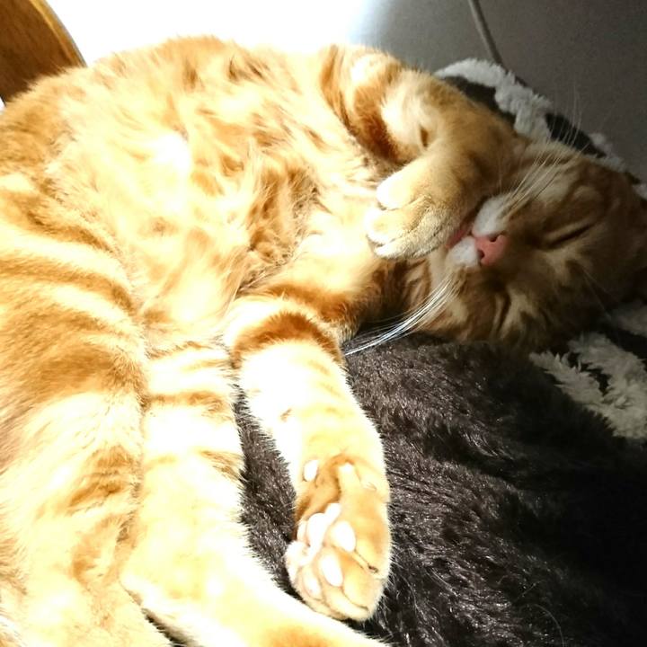 1496cc4d c1f6 4374 9f4c c3b656d0c8da 1522837930509