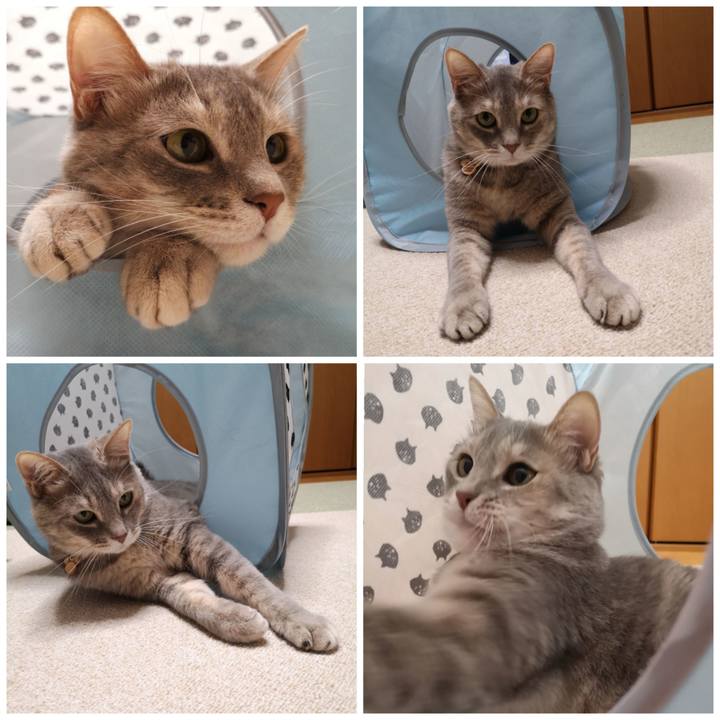 1496d48e d5ac 4252 a8f4 1adba1b2e77e 1590032083017