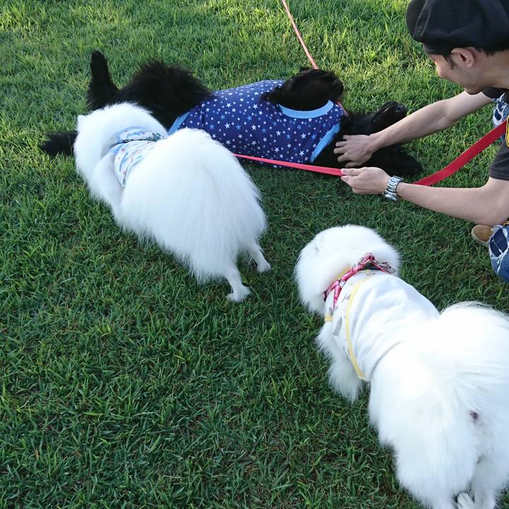 1496d7c8 1f0b 425d 94e4 2c6262828293 1601195840093