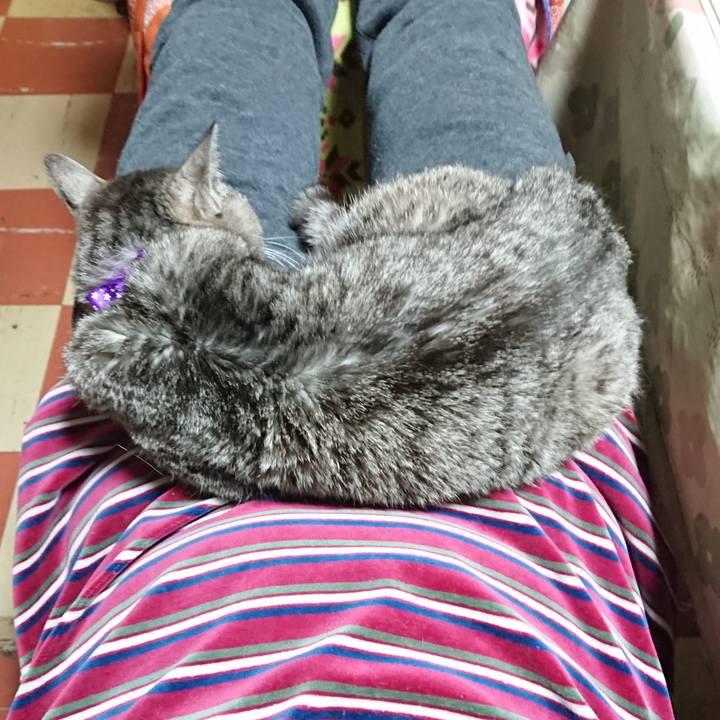 1496e783 291c 4cb2 aedf bad5b1cd243c 1584704862901